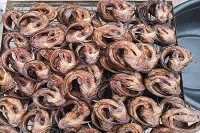 Dried Catfish Supplier in Lagos, Nigeria