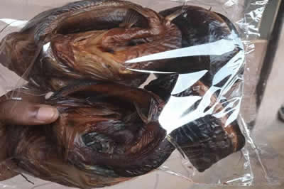 Processed Catfish Supplier in Lagos, Nigeria