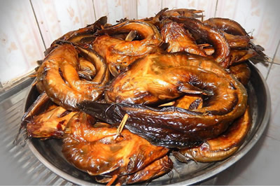 Dried Catfish Supplier in Lagos, Nigeria