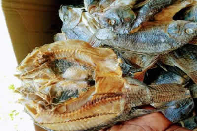 Smoked Tilapia Supplier, Lagos, Nigeria