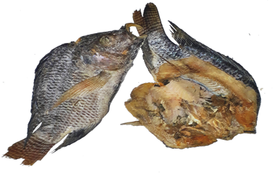 Dried Tilapia Supplier in Lagos, Nigeria