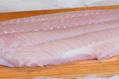 Catfish Fillet Supplier in Lagos, Nigeria