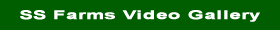 Visit SS Farms Video Gallery